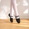 Girls Ballet Shoes Canvas Soft Sole Ballet Dance Slippers Children Practise Ballerina Shoes Woman Dance Shoes