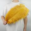 10Pcs/Lot New Colored Ostrich Feathers for Crafts White Black Feather Decor Table Centerpieces Jewelry Handicrafts Decoration
