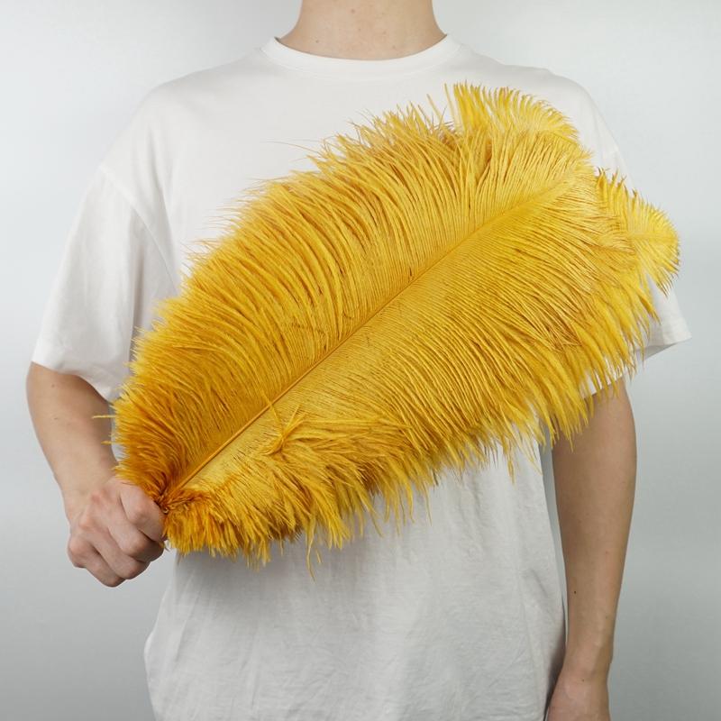 10Pcs/Lot New Colored Ostrich Feathers for Crafts White Black Feather Decor Table Centerpieces Jewelry Handicrafts Decoration
