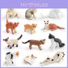 Miniature Pet Cat Model Set Pvc Black White Persian Short Hair Norwegian Burmese Display For Collectors