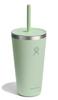 All Around Tumbler with Straw Lid, 28oz (828ml) Stainless Steel, Aloe Vera Insulated Cup (Official Japanese Product)