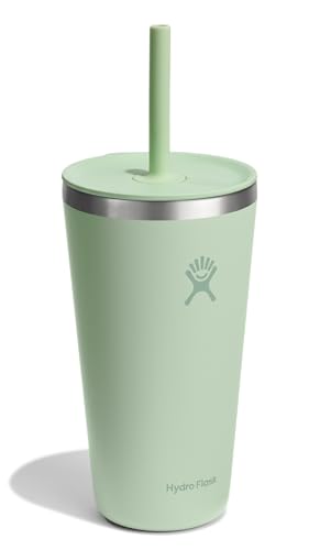 All Around Tumbler with Straw Lid, 28oz (828ml) Stainless Steel, Aloe Vera Insulated Cup (Official Japanese Product)