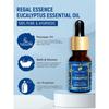 REGAL ESSENCE Eucalyptus Oil | Eucalyptus Oil Essential Oil | Eucalyptus Oil for Cold and Cough, Massage, Skin Therapy & Hair Care | 15 Ml