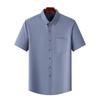 Men's Anti-Wrinkle Easy-Care Business Shirt