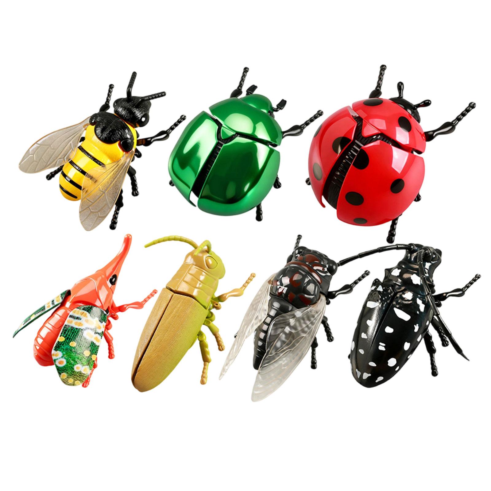 Wind Up Insect Toy Set Simulation Bug Model Mechanical Beetle Educational Plaything for Children Kids Collection Display
