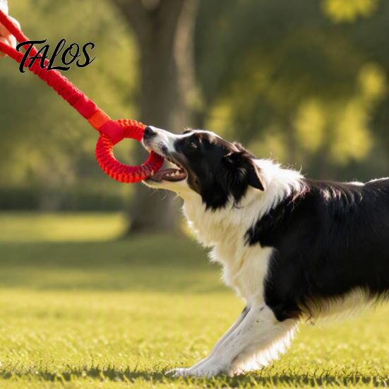 Durable Dog Tug Toys Bungee Toy, Woven Ring with Long Handle, Interactive Chew Teeth Tear Resistant Cleaning Toy for Medium Large Dogs, Dental Care of