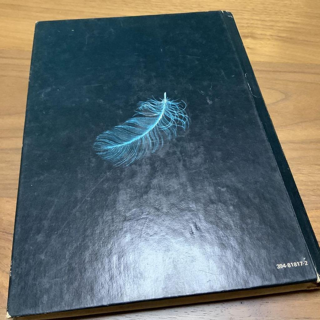 [USED] Pop-up Picture Book: FLYING Machines