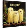 Little Owl Parent-Child Picture Book