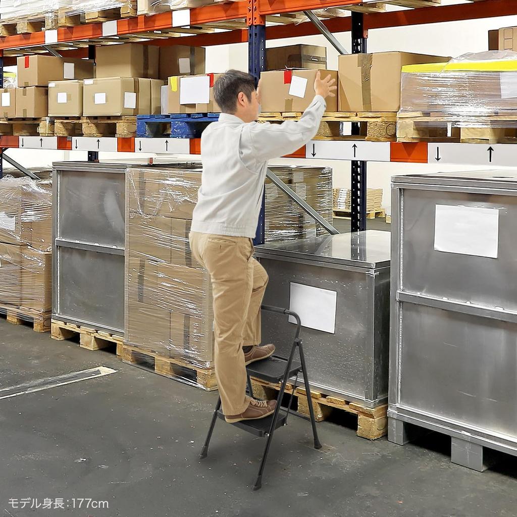 Sanwa Supply STL-1 2-Step Folding Stepladder, 150kg Weight Capacity, Steel Frame, Black