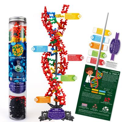 Molecular Piece (DNA)