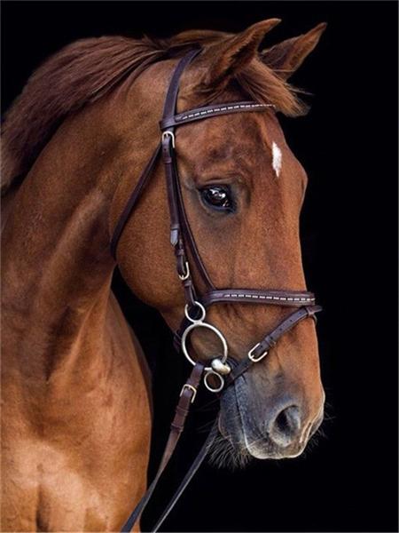 Pittura Diamante 5D Nuovi Arrivi Cavallo Ricamo Rotondo Completo Animali Mosaico Regalo Fatto a Mano Decorazione per la Casa