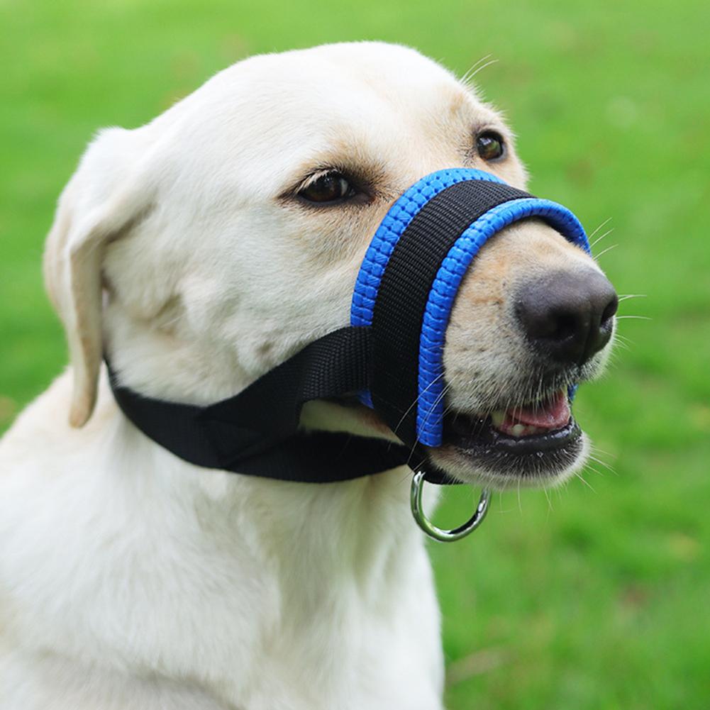 Anti Barking Dog Muzzle for Small Large Dogs Adjustable Mesh Breathable Pet Mouth Muzzles Dog Accessories