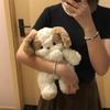 Bib Rabbit Dog Plush Toy Kids Gift For Sleeping Comfort Realistic Animal Decor