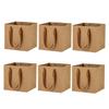 6-pack kraft paper bag, exquisite bonsai packaging shopping bag, brown