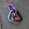 Small Branded Galvanized Aluminum Alloy Carabiner-Safety Screw Lock Snap Clip Heavy Duty for Industry Outdoor Use Dog Leash