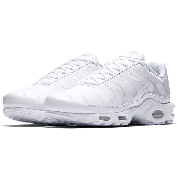 Nike Air Max Plus Triple White AJ2029-100