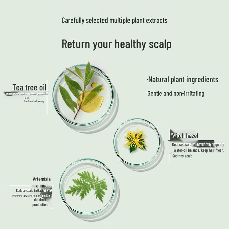 SELSUN Tea Tree Oil Control Anti-Dandruff Shampoo & Shower Gel Set