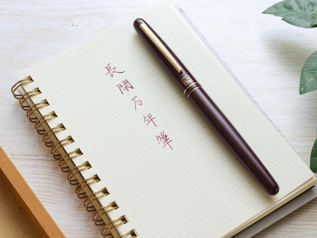 WANCHER Akakasumi Fountain Pen Medium Pressed 11mm Diameter X Stainless Steel Iridium Bold To (M, Nib) - Aluminum, 137mm, Cartridge/Converter