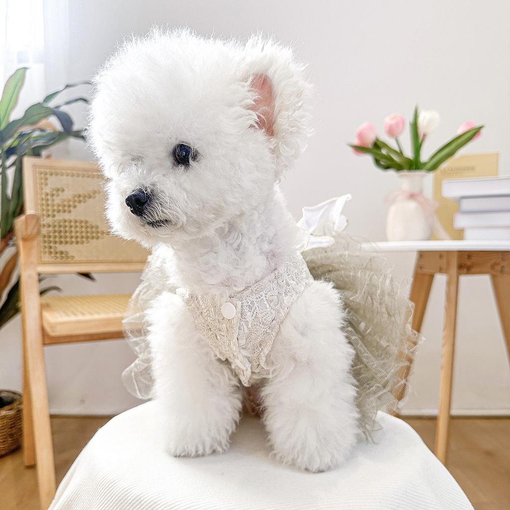 PETCIRCLE pet clothes small dog puppy cute pet multi-layer mesh tutu skirt camellia lace skirt