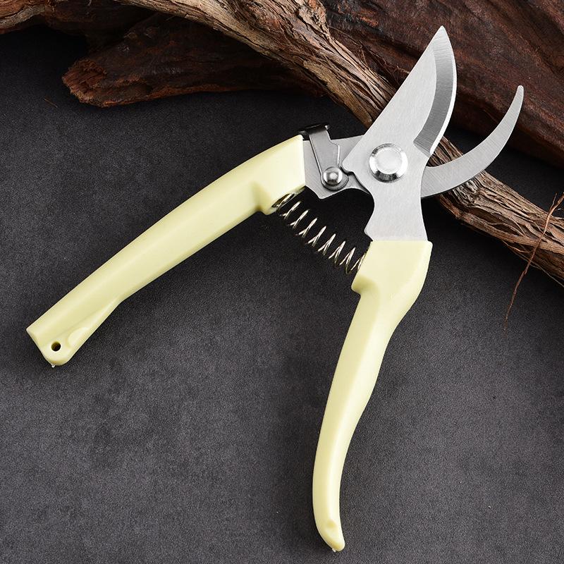 Horticultural Pruning Shears and Floral Scissors for Fruit Tree Branches