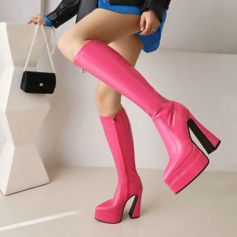 Women's high boots autumn and winter new pointed thick heel super high heel double waterproof table but knee boots side zipper women