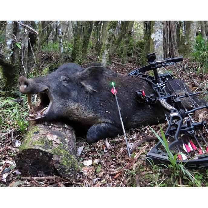 9PCS S Lighted Nocks for Arrows with .244 Inside Diameter Automatic Compound Bow Arrow Nocks for Hunting Shooting