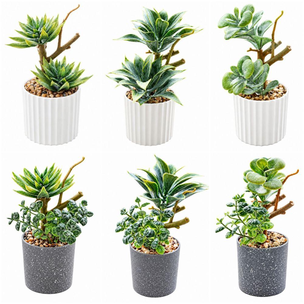 Green Simulation Succulent Flowerpotted Table Potted Fake Flower Bonsai Desktop Ornament