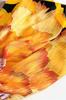 Women' Scarf 90X90 "Golden Peony" - Imitation Silk, Large Floral Pattern