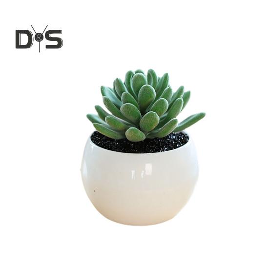 Plante succulente artificielle en plastique, Anti-décoloration, belle petite plante en pot, ornement de Table