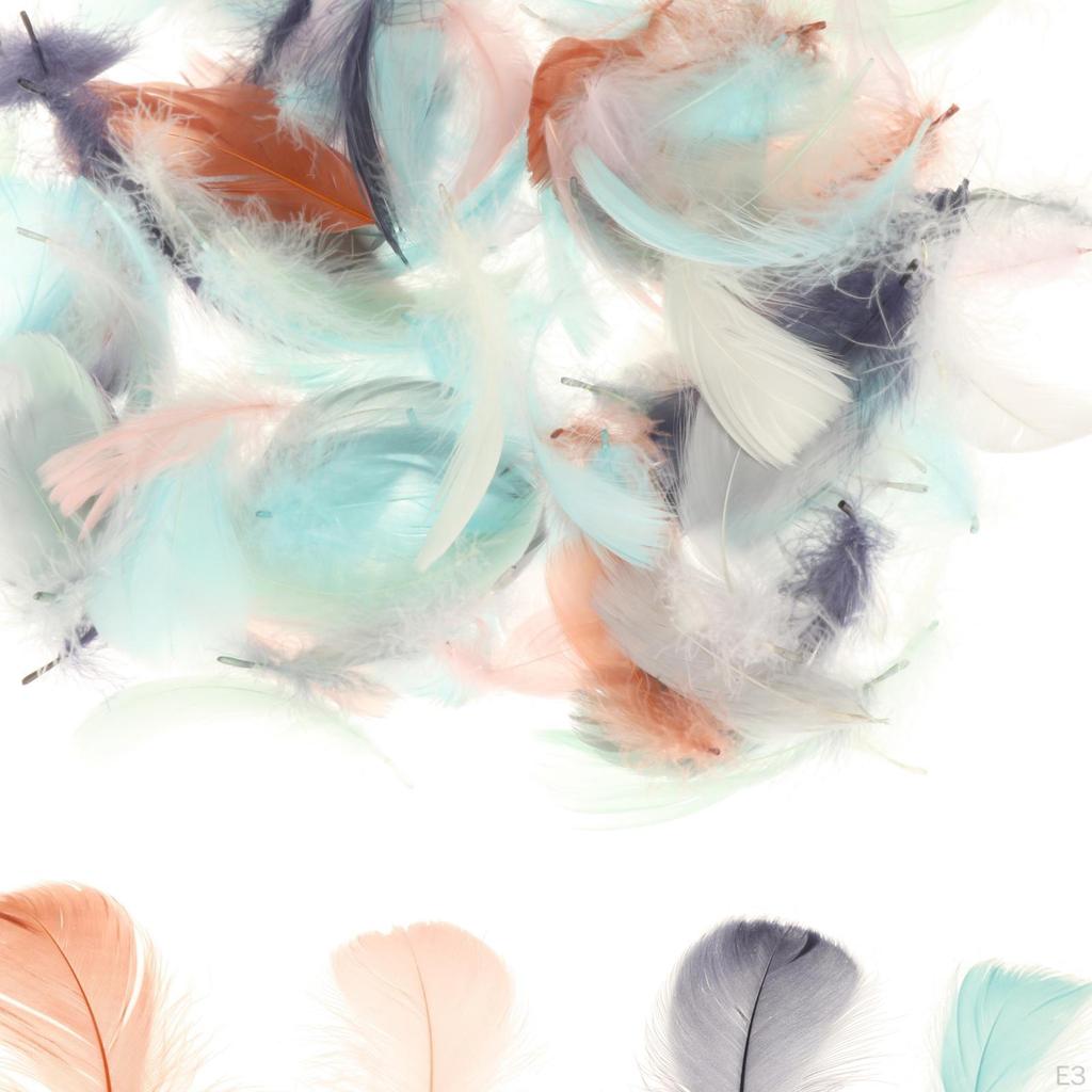 200 Pieces Colorful Feathers, for Balloons Ornament Wind Bell Jewelry Making