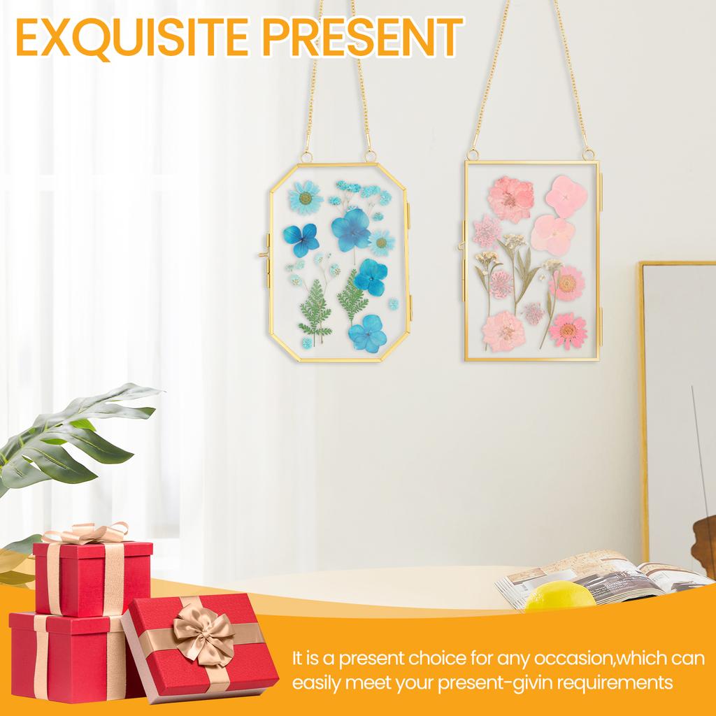 4 Stück Doppelglas Blumenrahmen mit Kette zum Aufhängen Schwebender Bilderrahmen für gepresste getrocknete Blumen Glas Fotorahmen Wanddeko