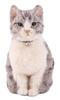 Hamanaka Felt Wool Needle Felted Hair Planting Lesson Sabatora 16cm Includes a QR Code and Video for Help with Planting Kit, Kit, (approx. Tall),