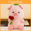 Four Leaf Clover Pig Stuffed Animal With Heart Rose For Friendship Celebration Decorative Plush