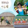Schredder Vogelspielzeug 5 Stück Kauspielzeug für Vögel Papagei Schredderbedarf Wellensittich Trainingswerkzeug für Sittich Conure