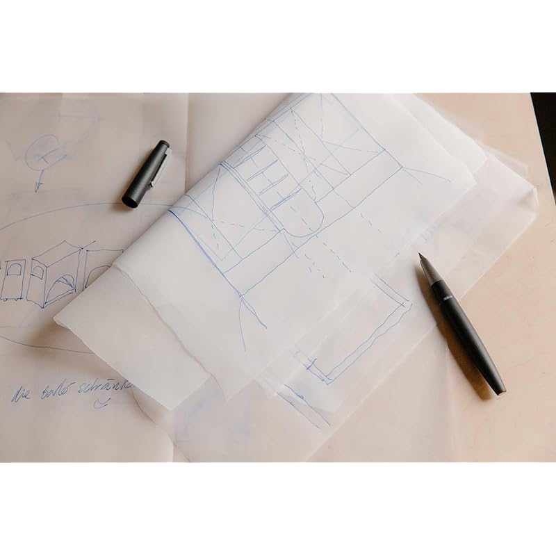 LAMY 2000 Black Fountain Pen - Elegant Fountain Pen with a Durable Polycarbonate Body - 14K Gold Nib (partially Platinum-plated) - Nib Size F