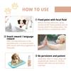 Jaysuing Pet Potty Training Spray 30ml Cats & Dogs - Pet Toilet Training Spray/Pet Potty Trainer/Pet Toilet Training Agent