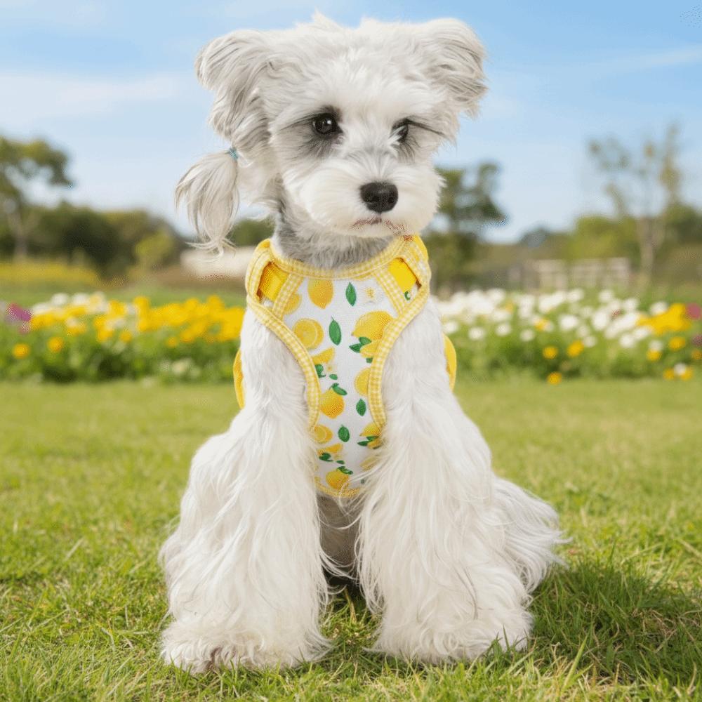 Cartoon Pattern Dog Harness Leash Set Escape-Proof Pet Walking Rope Dog Harness Vest Daily Use