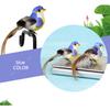 12pcs Small Fake Birds for Crafts,   Bird Figures Cute Animal Model  Ature Bird Figurines Tiny Bird Figurines Tree Binding Artificial Bird Decor