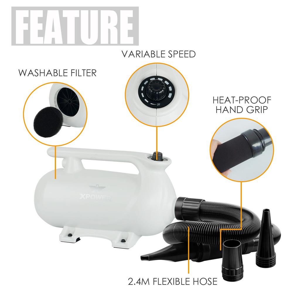 XPOWER B-163 Low Noise Pet Hair Dryer Tierhaartrockner-Kit Heissgerät Bandlüfter EU Plug