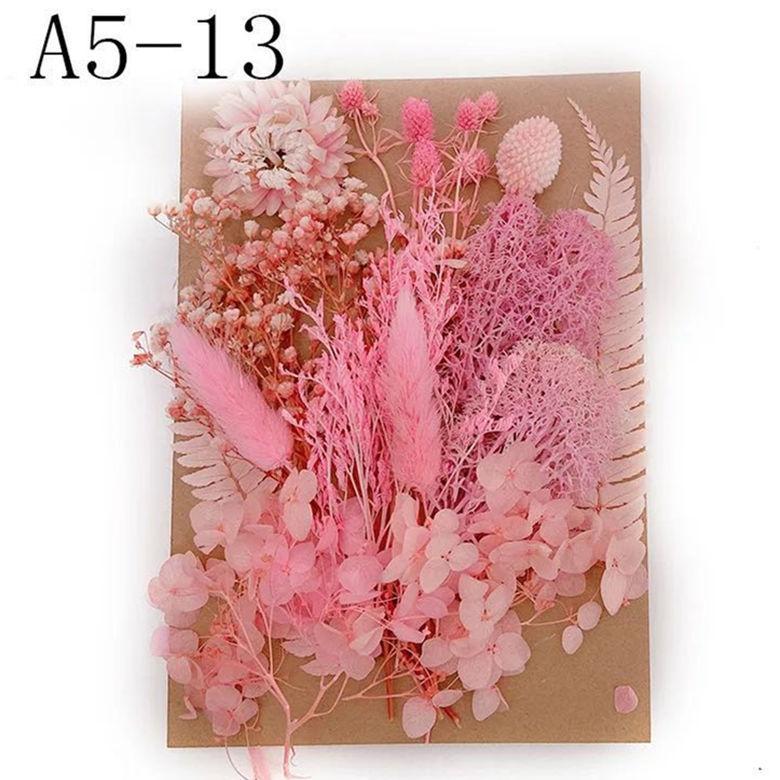 Exquisite Eternal Dry Flower Ancient Style Group Fan Material Pack for Children's Handmade Exclusive Decoration Dried Flowers