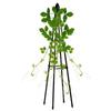 80/120/160cm Outdoor Garden Climbing Vine Flower Rack Iron Wire Plant Support Frame Balcony Vine Climbing Trellis