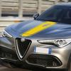 Auto Motorhaubenaufkleber Vinyl Aufkleber Für Alfa Romeo Giulia Giulietta 159 156 MITO Stelvio 147 Sportiva Duetto GT Autozubehör