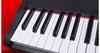 Dna Pp 88 Full-Size Digital Piano Keyboard for Learning