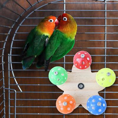 Závěsná žvýkací hračka papoušek andulka barevné okusování pro Conures andulky pěnkavy
