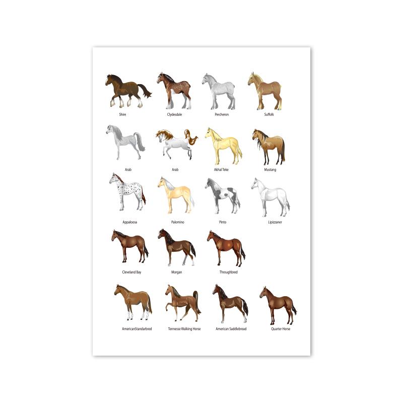 

Образовательный плакат «Породы лошадей», Принты для стен детской комнаты, Мультяшные пони, Холст, Картина, Подарок для всадника, Декор для детской комнаты 21cm×30cm NoFrame