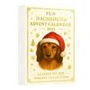 Jezevčík Vánoční adventní kalendář 2025 Odpočítávání 24 dní Akrylové ozdoby jezevčíka Roztomilá sváteční dekorace pro milovníky psů Suvenýry