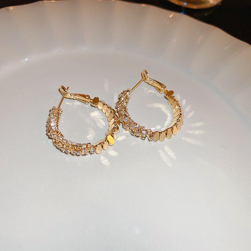 Crushed Silver Zircon Gold Circle Earrings Earrings European and American Earrings Design Sense Niche