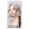 KYOGOKU IROME Hair 24 Gray Hair Salon Partial Dye 1-Pack Color, Colors, Dye, Quasi-drug, Hypoallergenic, Exclusive, Self-Color, (Silver)