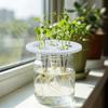 20PCS Breathable Hydroponic Seedling Pots Plastic Planting Mesh Pots Vegetable Nursery