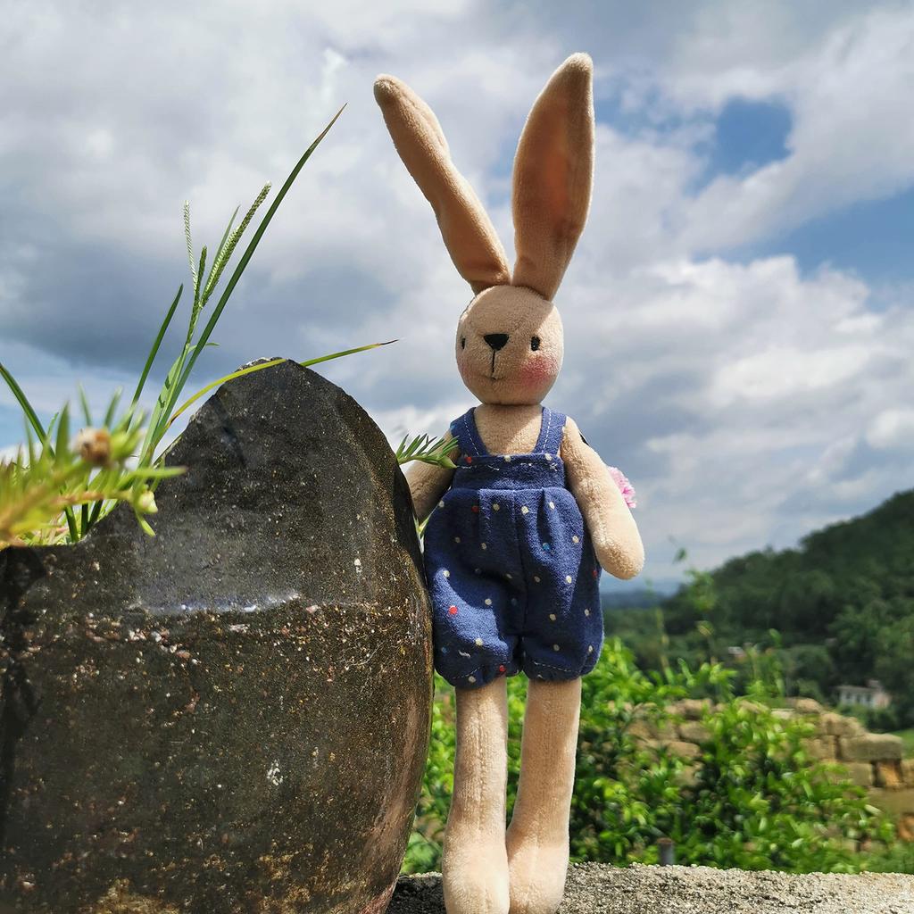 Doll making kit for adults and kids, DIY stuffed animal sewing kit, cute animal doll, gift for girls, handmade doll craft kit. (Rabbit Boy)